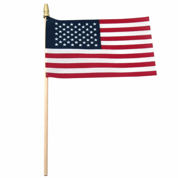 USA Stick Flag (10 Pack)